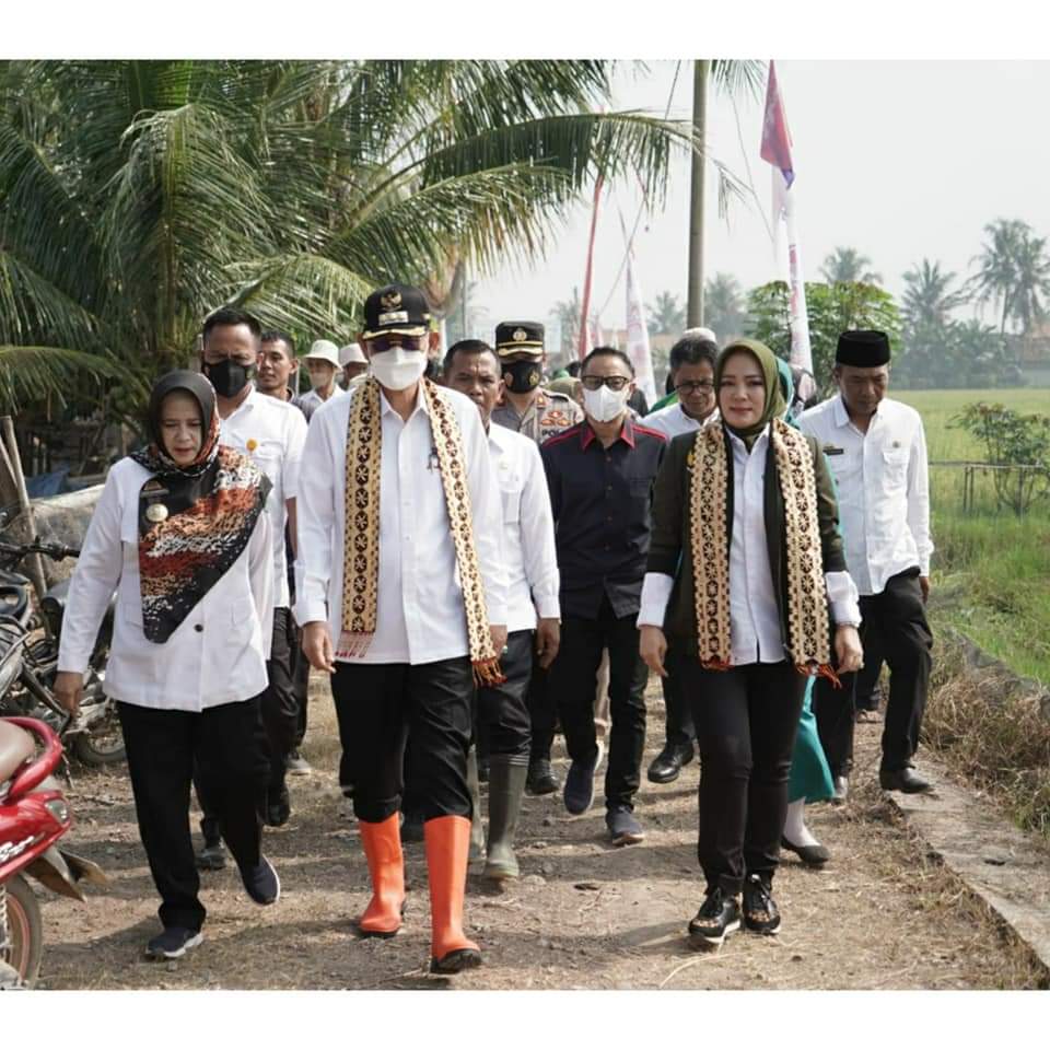 Penjabat Bupati Pringsewu Panen Raya Perdana Di Ambarawa Barat