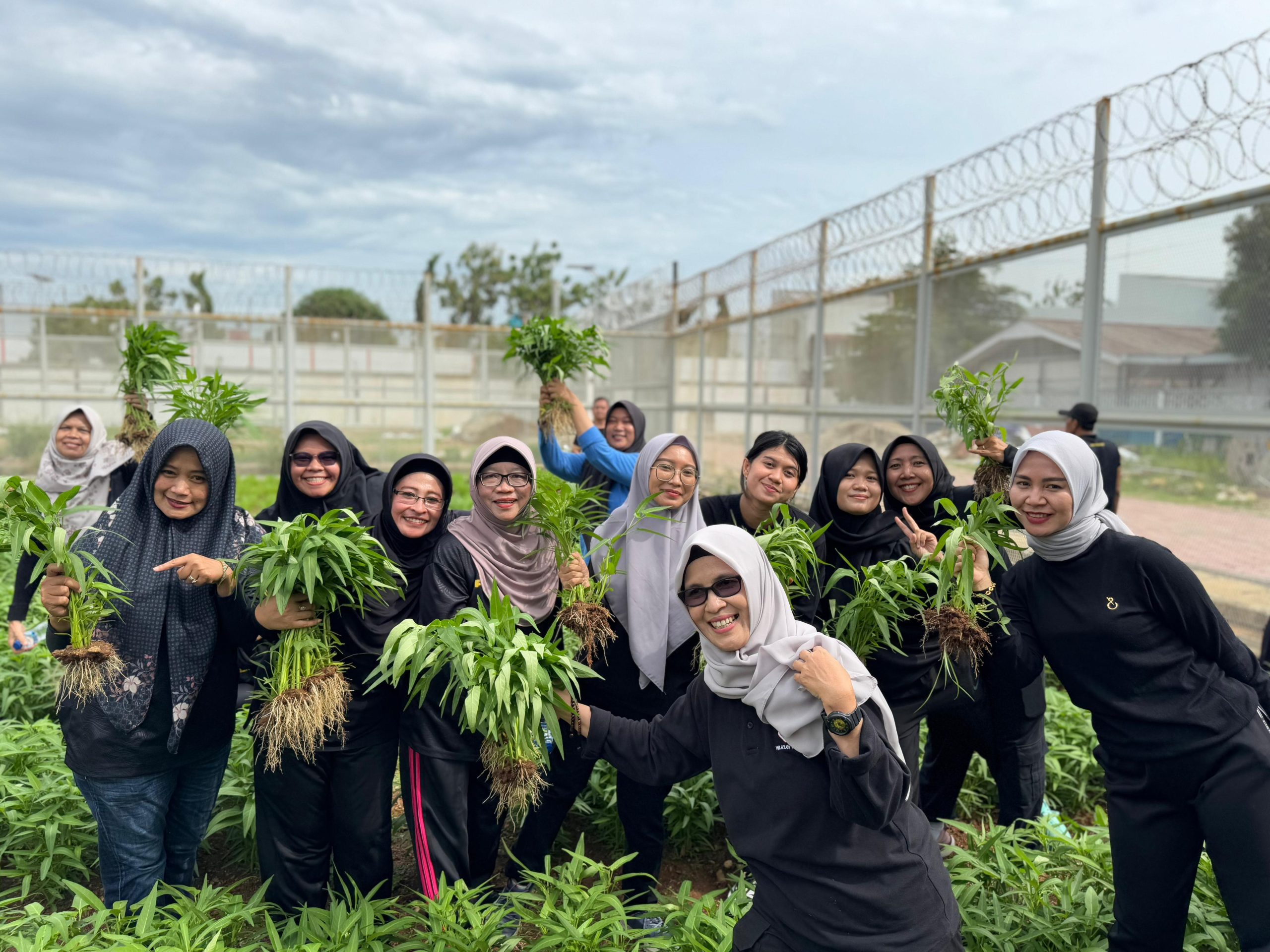 Dukung Program Ketahanan Pangan, Lapas Kelas 1 Tangerang Gelar Panen Raya