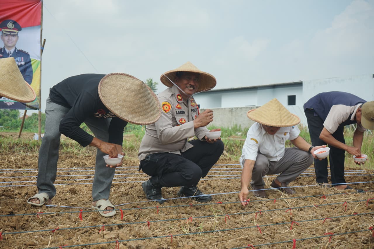 Tanam Jagung Serentak, Polresta Tangerang Komitmen Dukung Swasembada Pangan