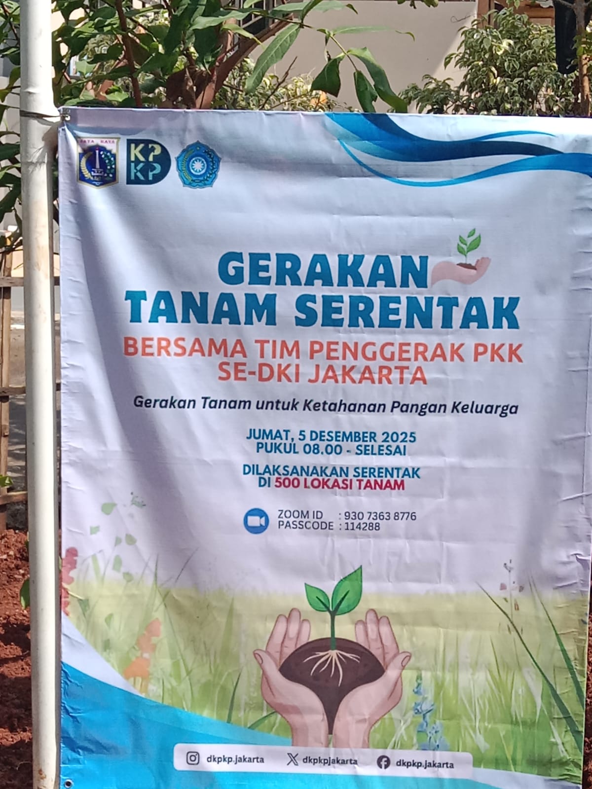 Program Pemprov DKI Jakarta Bersama Lurah, Kasipem dan Tim Penggerak PKK Lakukan Gerakan Tanam Serentak Se-DKI Jakarta