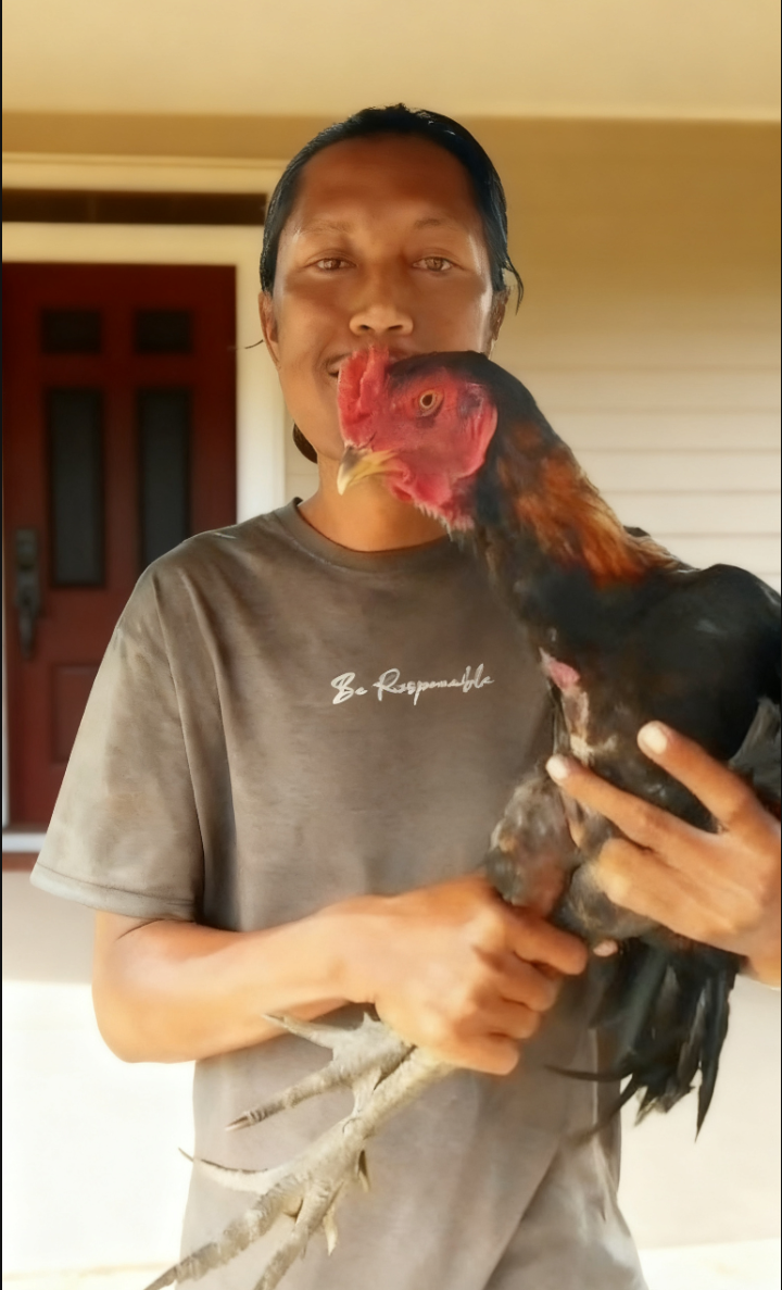 Sambut Tahun Baru 2026 Alan Sutaryan Bagi-bagi Ayam Kampung Ke Warga Cengklong Sambut Tahun Baru 2026 Alan Sutaryan Bagi-bagi Ayam Kampung Ke Warga Cengklong