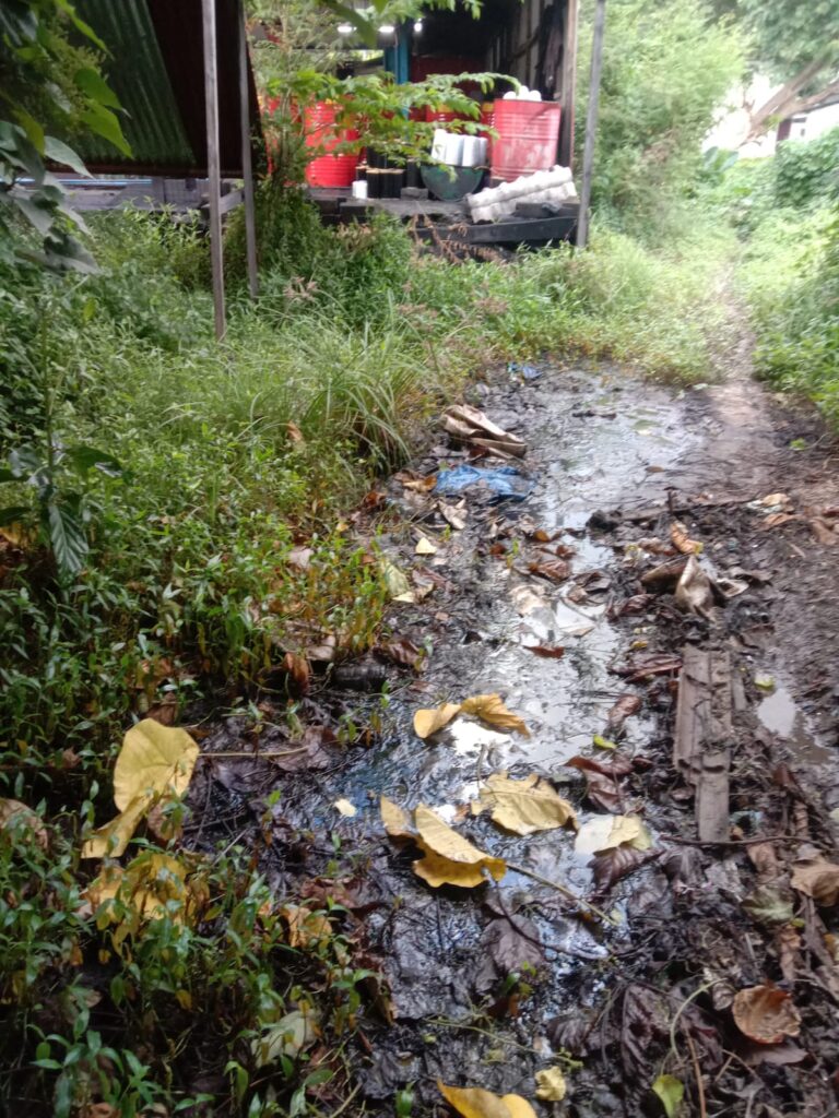 MALAPETAKA EKOLOGI DI PESISIR NAMLEA: DUGAAN PEMBIARAN LIMBAH B3 OLEH VENDOR PLN ANCAM KELUMPUHAN EKOSISTEM